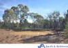 16083 Kamilaroi Highway, Baan Baa, NSW 2390-Image