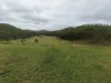 1609 Monal Road, Monto, Qld 4630-Image