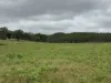 1609 Monal Road, Monto, Qld 4630-Image