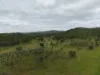 1609 Monal Road, Monto, Qld 4630-Image