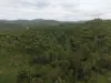 1609 Monal Road, Monto, Qld 4630-Image