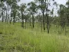 1609 Monal Road, Monto, Qld 4630-Image