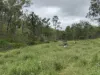 1609 Monal Road, Monto, Qld 4630-Image