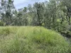 1609 Monal Road, Monto, Qld 4630-Image