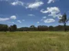 1609 Monal Road, Monto, Qld 4630-Image