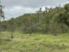 1609 Monal Road, Monto, Qld 4630-Image