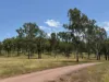 1609 Monal Road, Monto, Qld 4630-Image