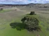 161 Yass Valley Way, Yass, NSW 2582-Image