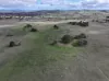 161 Yass Valley Way, Yass, NSW 2582-Image