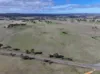 161 Yass Valley Way, Yass, NSW 2582-Image