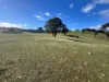 161 Yass Valley Way, Yass, NSW 2582-Image