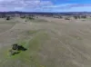 161 Yass Valley Way, Yass, NSW 2582-Image