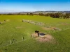 162 Darnum-allambee Road, DARNUM VIC 3822-Image