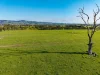 162 Darnum-allambee Road, DARNUM VIC 3822-Image