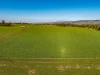162 Darnum-allambee Road, DARNUM VIC 3822-Image