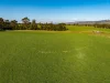 162 Darnum-allambee Road, DARNUM VIC 3822-Image