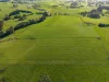 162 Darnum-allambee Road, DARNUM VIC 3822-Image