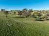 1629 Darby Falls Road, Cowra, NSW 2794-Image