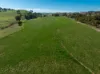 1629 Darby Falls Road, Cowra, NSW 2794-Image