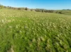 1629 Darby Falls Road, Cowra, NSW 2794-Image