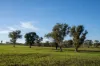 1629 Darby Falls Road, Cowra, NSW 2794-Image