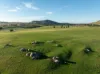 1629 Darby Falls Road, Cowra, NSW 2794-Image