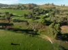 1629 Darby Falls Road, Cowra, NSW 2794-Image