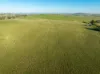1629 Darby Falls Road, Cowra, NSW 2794-Image