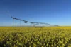 1630 Winlaton Road, Winlaton, Vic 3585