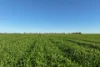 1630 Winlaton Road, Winlaton, Vic 3585-Image