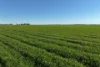 1630 Winlaton Road, Winlaton, Vic 3585-Image