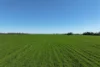 1630 Winlaton Road, Winlaton, Vic 3585-Image