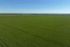 1630 Winlaton Road, Winlaton, Vic 3585-Image