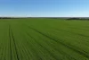 1630 Winlaton Road, Winlaton, Vic 3585-Image
