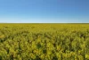 1630 Winlaton Road, Winlaton, Vic 3585-Image