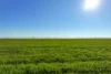 1630 Winlaton Road, Winlaton, Vic 3585-Image