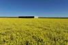 1630 Winlaton Road, Winlaton, Vic 3585-Image