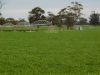 16472 Dukes Highway, Bordertown SA 5268-Image