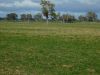 16472 Dukes Highway, Bordertown SA 5268-Image