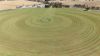 16472 Dukes Highway, Bordertown SA 5268-Image