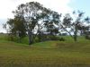 16472 Dukes Highway, Bordertown SA 5268-Image