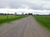 16472 Dukes Highway, Bordertown SA 5268-Image