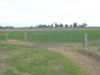 16472 Dukes Highway, Bordertown SA 5268-Image