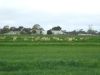 16472 Dukes Highway, Bordertown SA 5268-Image