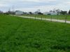 16472 Dukes Highway, Bordertown SA 5268-Image