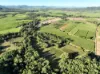 166 Bradfords Road, Septimus, Qld 4754-Image