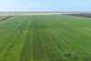 1663 Lake North Road, Jacup, WA 6337-Image