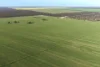 1663 Lake North Road, Jacup, WA 6337-Image