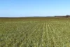 1663 Lake North Road, Jacup, WA 6337-Image