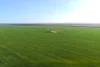 1663 Lake North Road, Jacup, WA 6337-Image